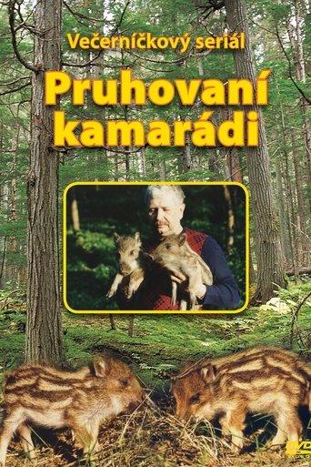 Pruhovaní kamarádi dizi afişi