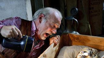 The Curse of the Mummy