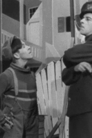 Fridolinons film afişi