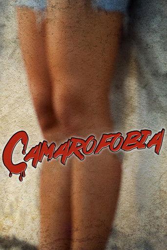 Camarofobia film afişi