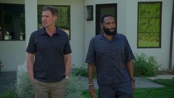 Million Dollar Backyard