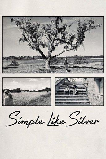 Simple Like Silver film afişi