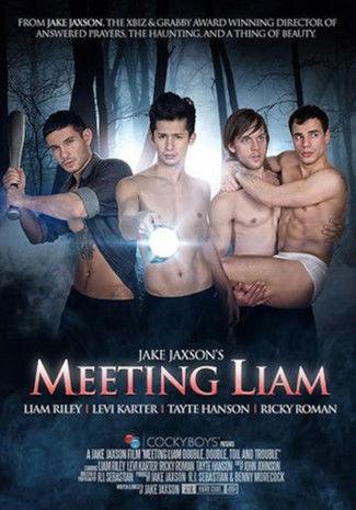 Meeting Liam film afişi
