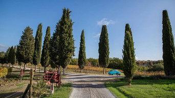 "Renaissance" Anniversary-Season Episode 1