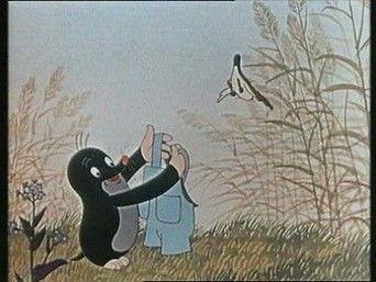 How The Mole Got His Pants...