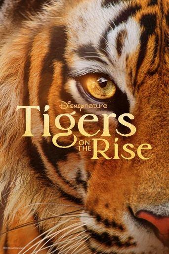 Tigers on the Rise film afişi
