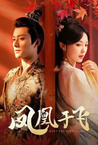 凤凰于飞 dizi afişi