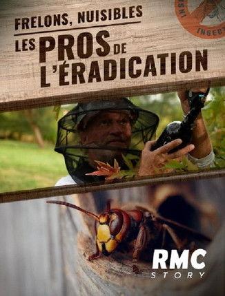 Frelons, nuisibles : Les pros de l'éradication film afişi