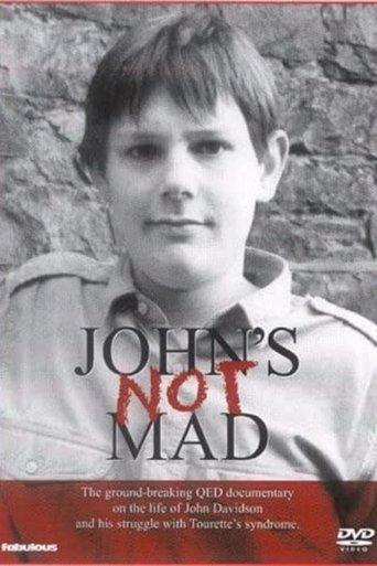 John's Not Mad film afişi