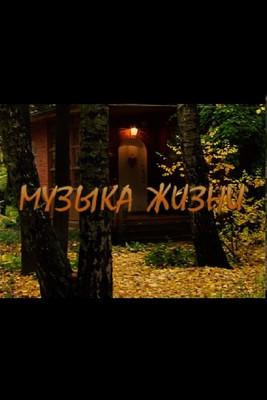 The Music of Life film afişi