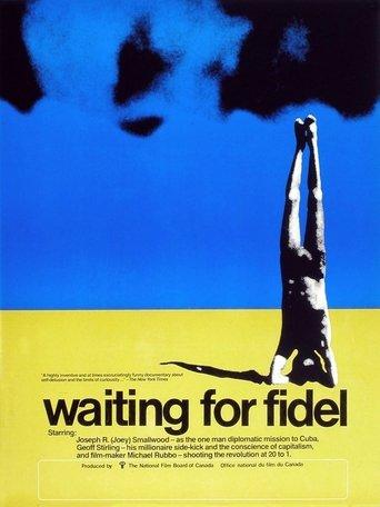 Waiting for Fidel film afişi