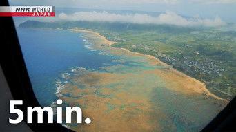 Kagoshima to Amami Airport