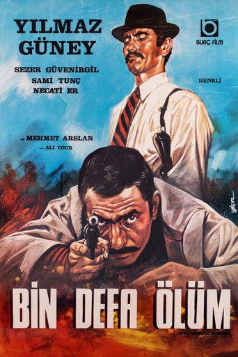 Çifte Tabancalı Kabadayı film afişi