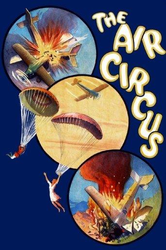 The Air Circus film afişi