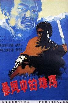 暴风中的雄鹰 film afişi