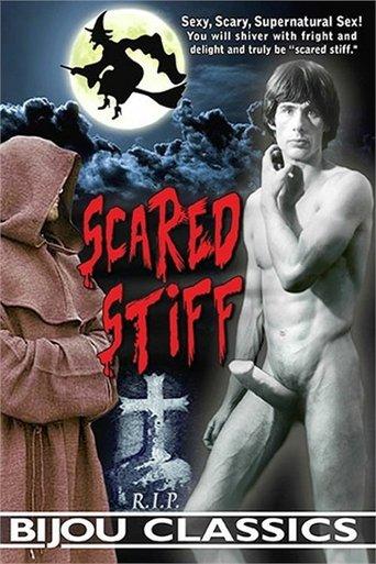 Scared Stiff film afişi