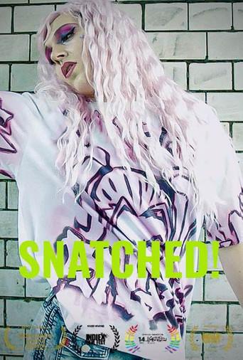 Snatched! film afişi