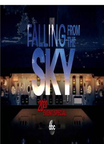 20/20 Falling From The Sky film afişi