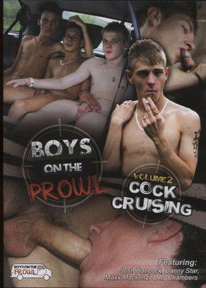 Boys on the Prowl 2: Cock Cruising film afişi