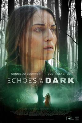 Echoes in the Dark film afişi