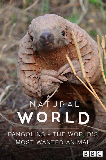 Pangolins: The World's Most Wanted Animal film afişi