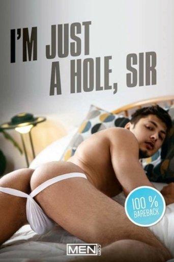 I'm Just A Hole, Sir film afişi