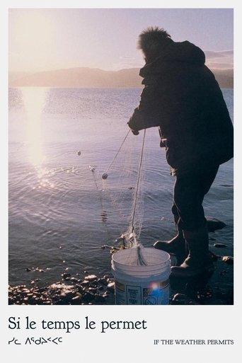 If the Weather Permits film afişi