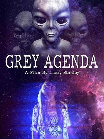 Grey Agenda film afişi