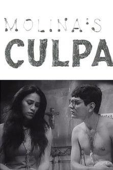 Culpa film afişi
