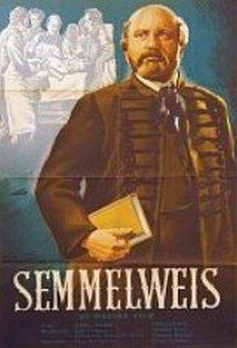 Semmelweis film afişi