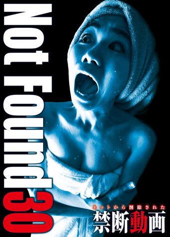 Not Found 30 film afişi