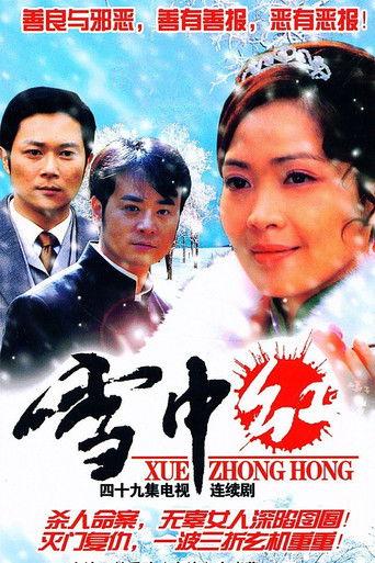 雪中红 dizi afişi