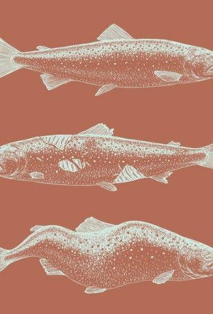 Laxaþjóð - A Salmon Nation film afişi