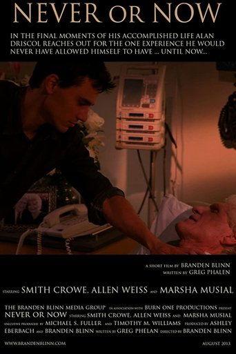 Never or Now film afişi