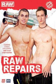 Raw Repairs film afişi