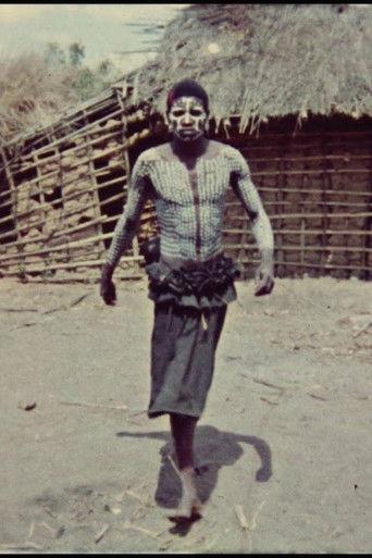 Viagem aos Makonde film afişi