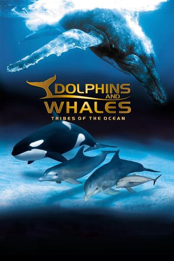 IMAX Dolphins and Whales: Tribes of the Ocean film afişi