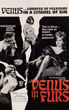Venus in Furs film afişi