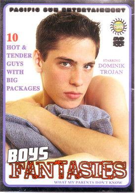 Boys’ Fantasies film afişi