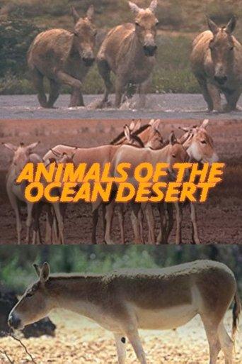 Animals of the Ocean Desert film afişi