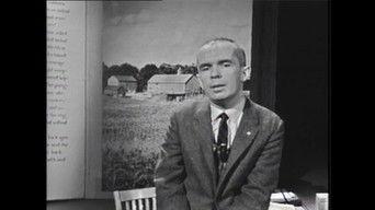 A Glimpse at the Newest South