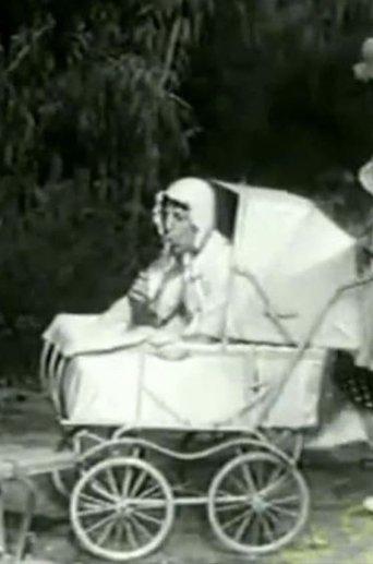 The Two Foxes film afişi