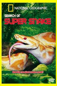 Search For the Supersnake film afişi