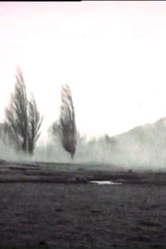 The Swing film afişi