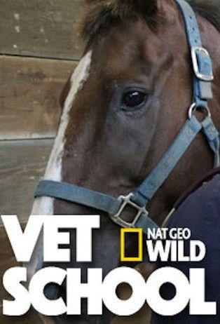 Vet School dizi afişi