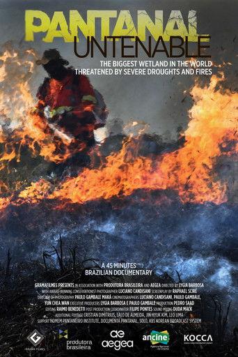 Untenable Pantanal film afişi