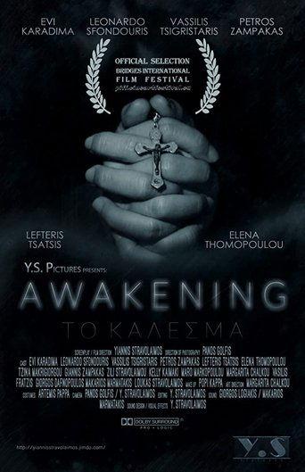 Awakening film afişi