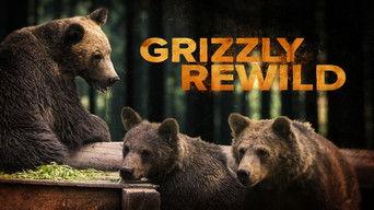 Grizzly Rewild