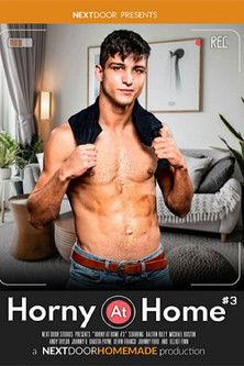 Horny at Home 3 film afişi
