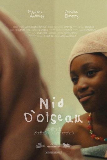 Bird's Nest film afişi